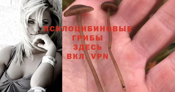 таблы Белоозёрский