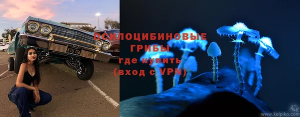 синтетический гашиш Богданович