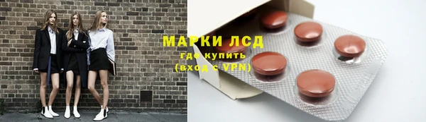 стаф Богородск
