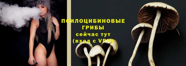стаф Богородск