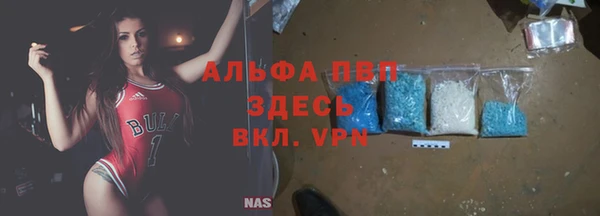 стаф Богородск