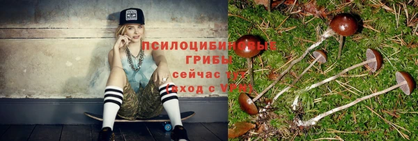 гашик Беломорск