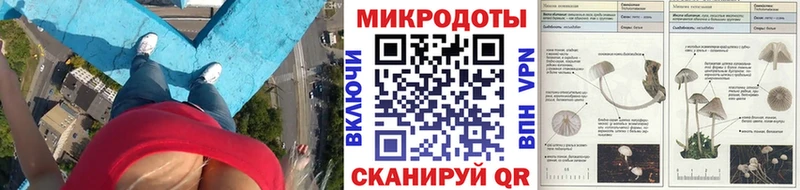 блэк спрут ТОР  где продают наркотики  Нахабино  Галлюциногенные грибы Psilocybine cubensis 